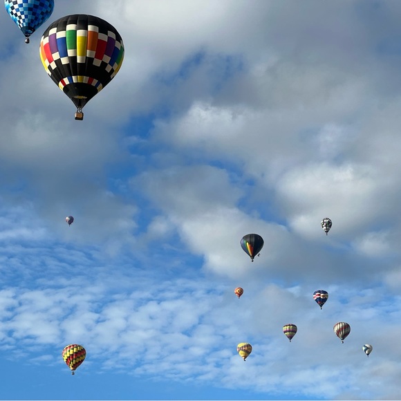 Meet your Posher, Meredith - Picture 1 of 1